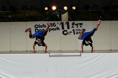 g08.JPG