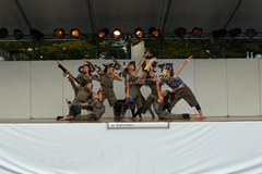 g10.JPG