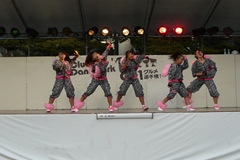 g14.JPG