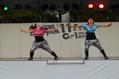 g15.JPG