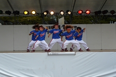 04.jpg